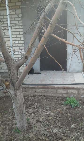 СРОЧНО Продам часный дом в фото 16
