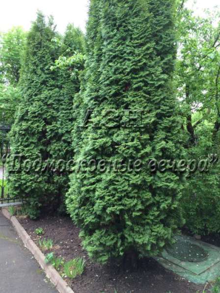 Продам дом в Москва.Жилая площадь 384 кв.м.Есть Канализация, Газ. в Москве фото 36