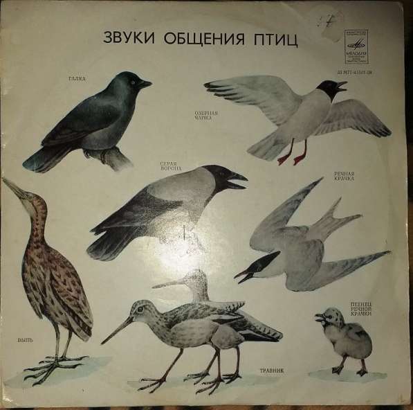 Пластинки с голосами разных птиц-2шт, в хорошем состоянии в фото 4