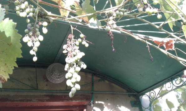 Срочно Продам дом (дача) в фото 18