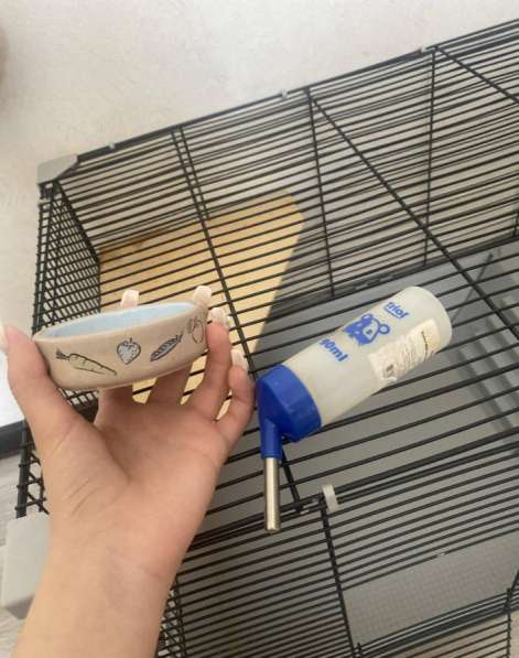 Клетка для крыс