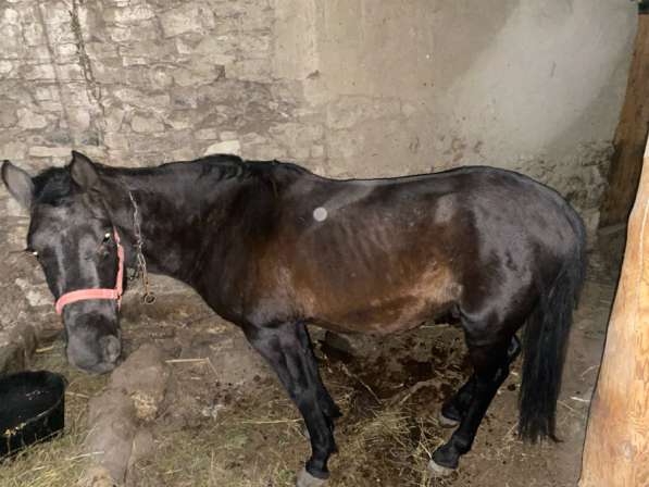 Ассаламу алейкум в Москве фото 3