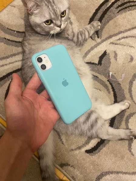 Айфон 11