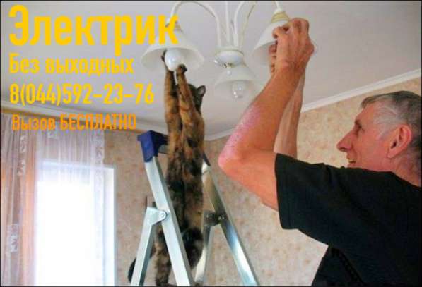 Вызов электрика в фото 10