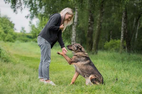 Надёжный Друг Курт ищет семью в Москве фото 15