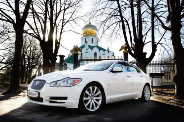 Автомобиль в аренду на свадьбу в СПб в Санкт-Петербурге фото 6
