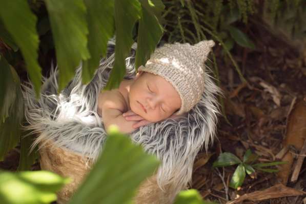 Фотограф новорожденных в Майами в 