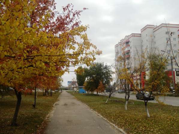 Продам квартиру 50 кв. м в Россоши фото 13
