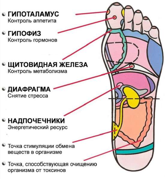 Доска Садху. Акупунктура в фото 22