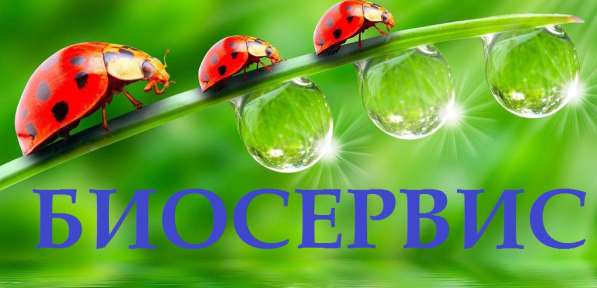 Продажа, аренда и обслуживание биотуалетов