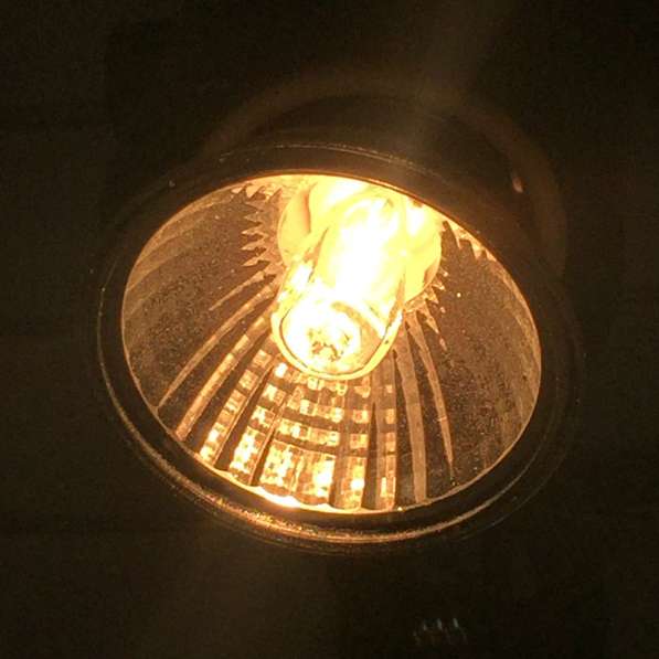 ✔ ✔ ✔ Лампа террариум брудер инсектариум ультрафиолетовая в Астрахани фото 5