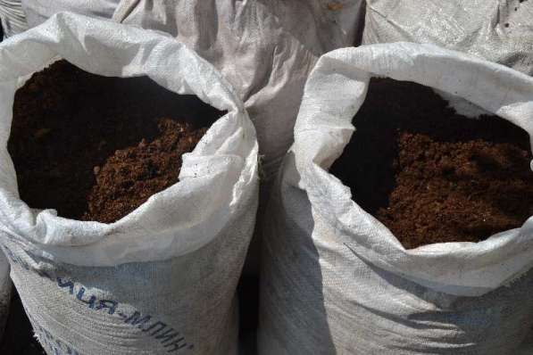 Перегной (чёрный)