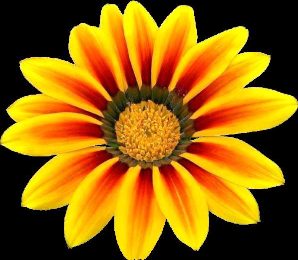 Проведем аудиторскую проверку! в Москве фото 7