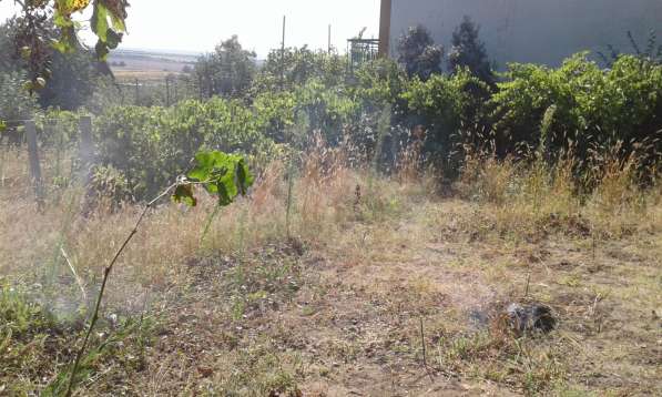 Срочно Продам дом (дача) в фото 11