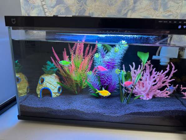 Умный аквариум xiaomi