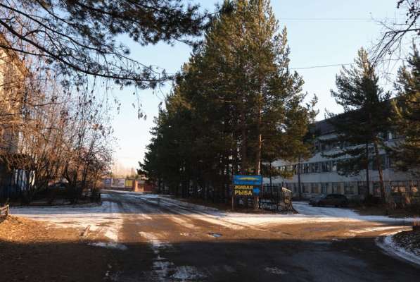 Продаётся здание 3000 м² в Сосновоборске в Красноярске