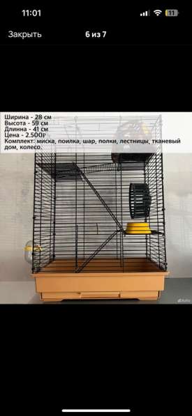 Сирийские и джунгарские хомяки с клетками в Москве фото 3