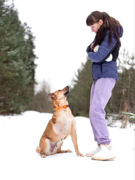 Тома. Сильная девочка палевого окраса в Москве фото 4