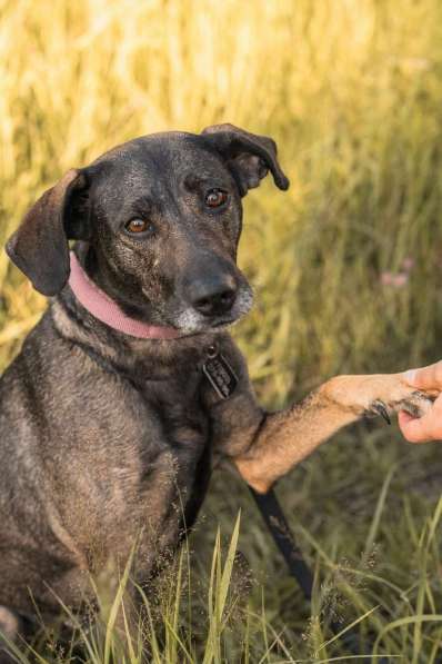 Люся ищет свою вселенную! в Москве фото 4