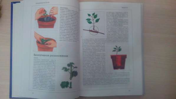 Книга справочник "Комнатные растения" в Выборге фото 3