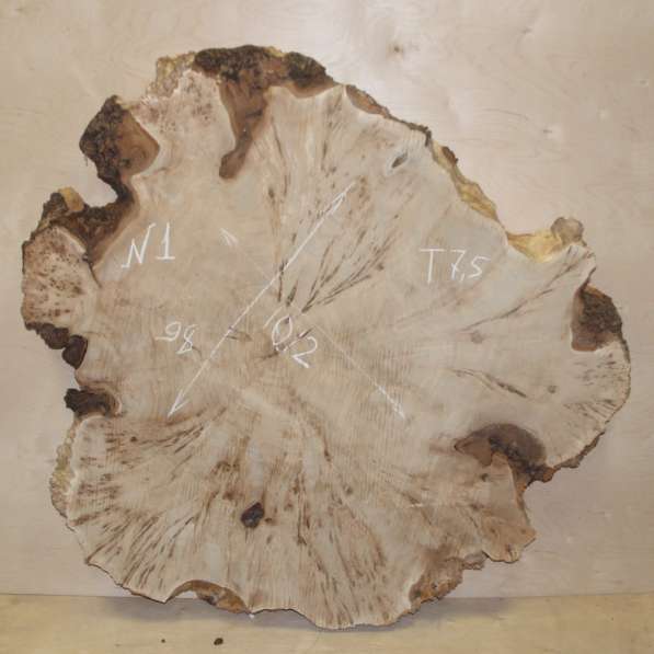 Продам слэбы поперечного капового тополя, Вл 8-10%