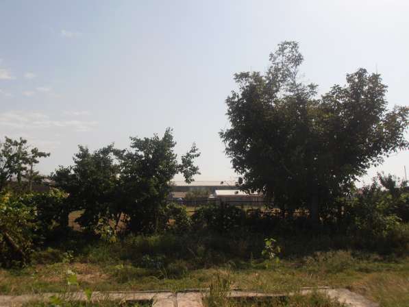 Срочно продам участок в пригороде Еревана в фото 5
