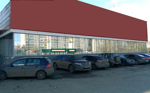 600 кв. м. торгового помещения «Free-Flo» в Ярославле фото 3