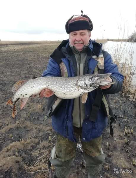 Рыбалка в Астрахани (Гандурино) в Астрахани фото 12