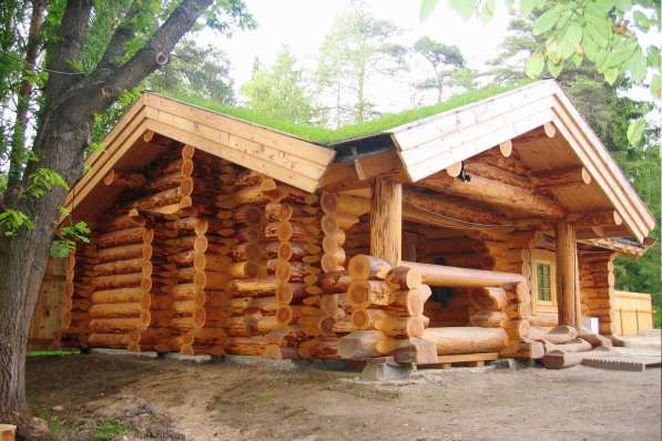 Строительство деревянных домов под ключ из дикого бревна в фото 10