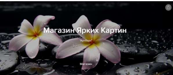 Интернет-магазин товаров домашнего декора в Тольятти фото 11