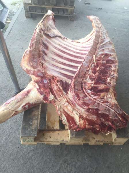 Мясо говядина в Ижевске
