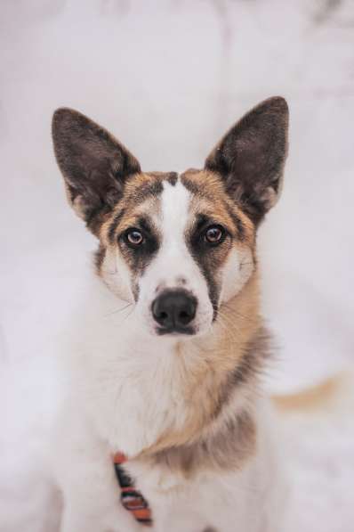 Тунис в поисках любящей семьи в Москве фото 33