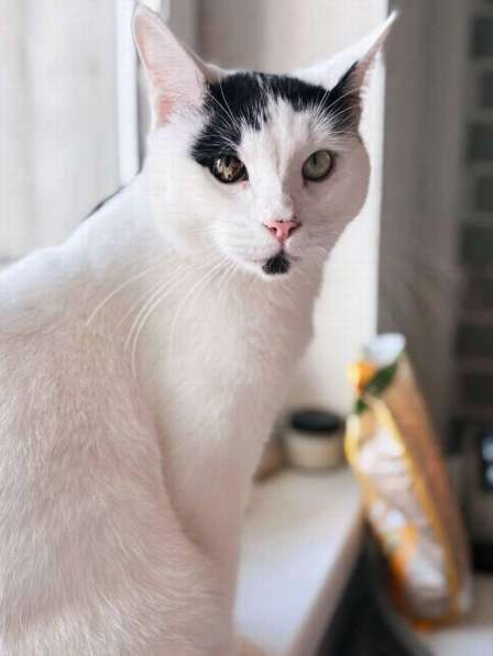 Йогурт — не про еду, а про любовь!