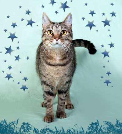 наша крупная Кама в Санкт-Петербурге фото 4