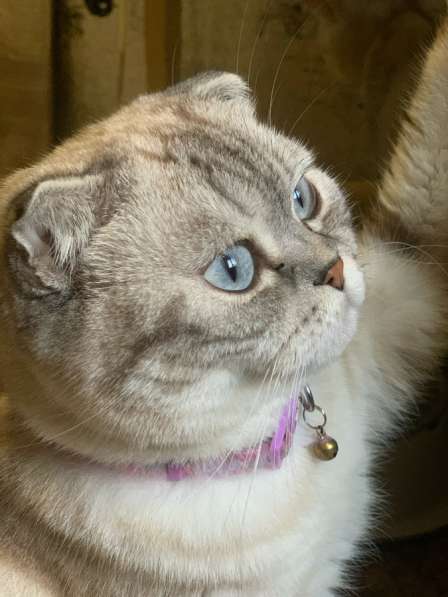 Прохорова,29 в Йошкар-Оле фото 4