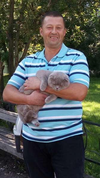 Константин, 46 лет, хочет познакомиться в Санкт-Петербурге фото 3