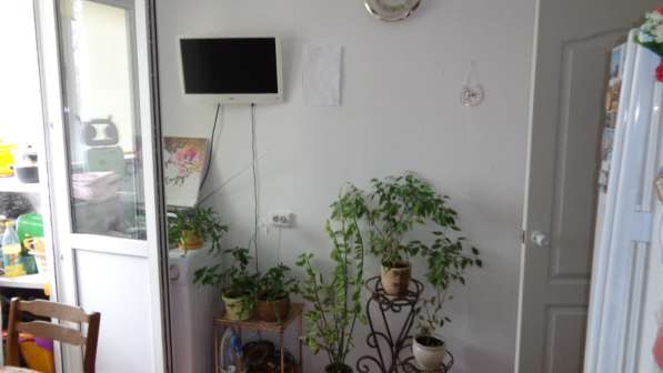 Квартиры в Новороссийске в Новороссийске фото 3