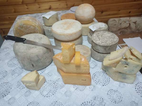 Изготовление сыров на заказ в Москве фото 4