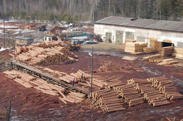 Продается лесопильно-деревообрабатывающий комплекс в Усть-Илимске фото 6