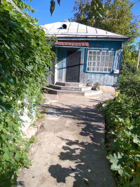 Продам домовладение в Краснодарском крае 20 соток