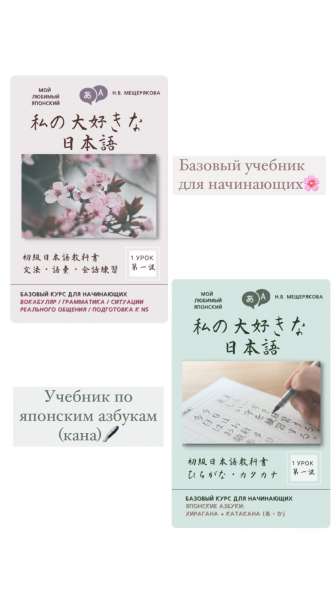 Японский язык. Репетитор в Москве фото 12