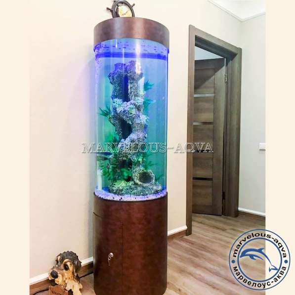 Аквариумные рыбки в Челябинске