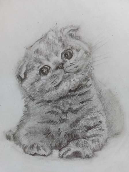 Рисунок котёнка