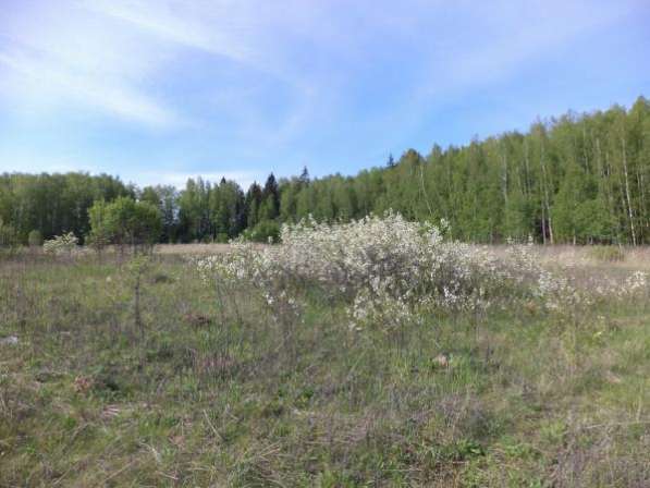 Продается земельный участок 9,5 соток в СНТ « сюково», Можайский р-он,120 км от МКАД по Минскому шоссе в Можайске