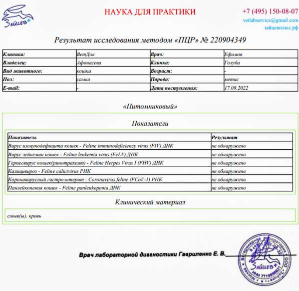 Сос! Кошечку выкинули на улицу в Москве фото 6