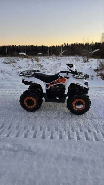 Квадроцикл Sharmax Hummer 300 в Нижнем Новгороде фото 16