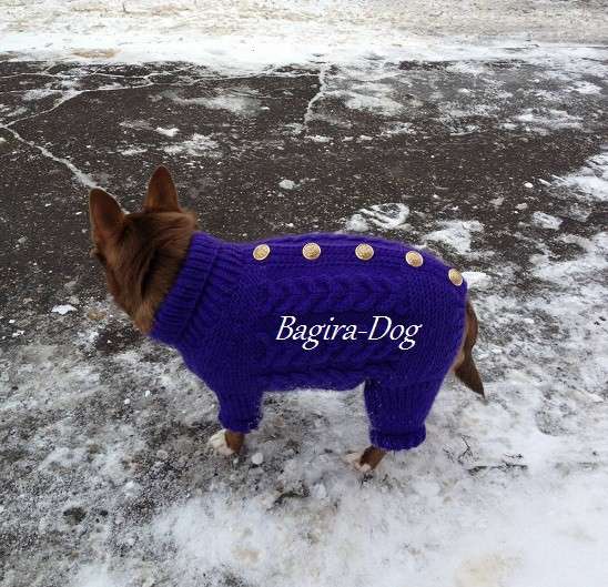 Вязаная одежда для собак в Москве фото 18