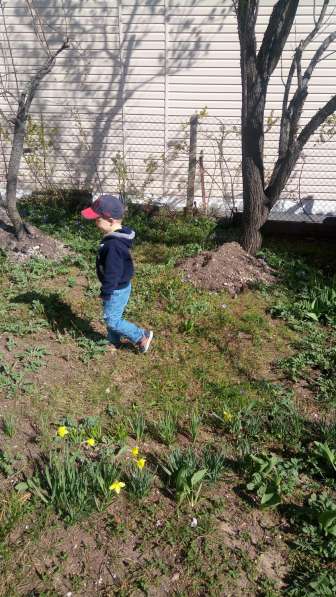 Добротный дом в каменке 120 м2 в Симферополе фото 20