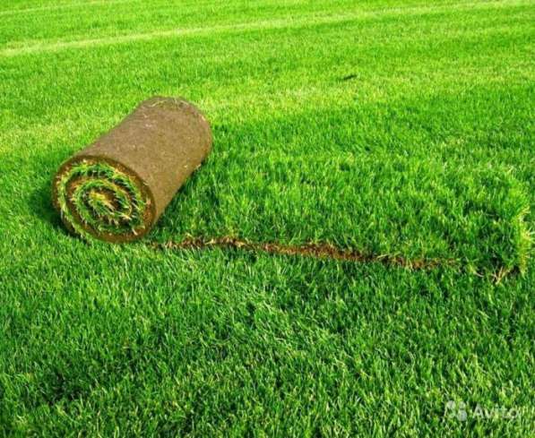 Ландшафтный дизайн с озеленением полный пакет в Краснодаре фото 5