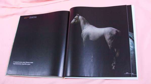 Книга-альбом про Ахалтекинцев, лошади, Туркмения в Москве фото 13